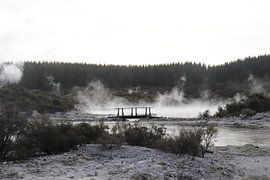Rotorua, Neuseeland, Nebel in der Natur von Pauline Nijboer