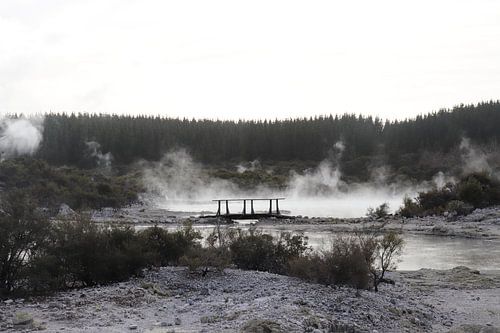 Rotorua, Nouvelle-Zélande, brouillard dans la nature