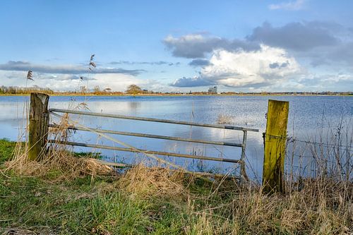 Rising water level in the floodplains of the river IJssel