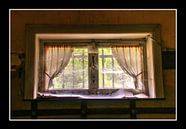 WINDOW by Paul Schrandt thumbnail