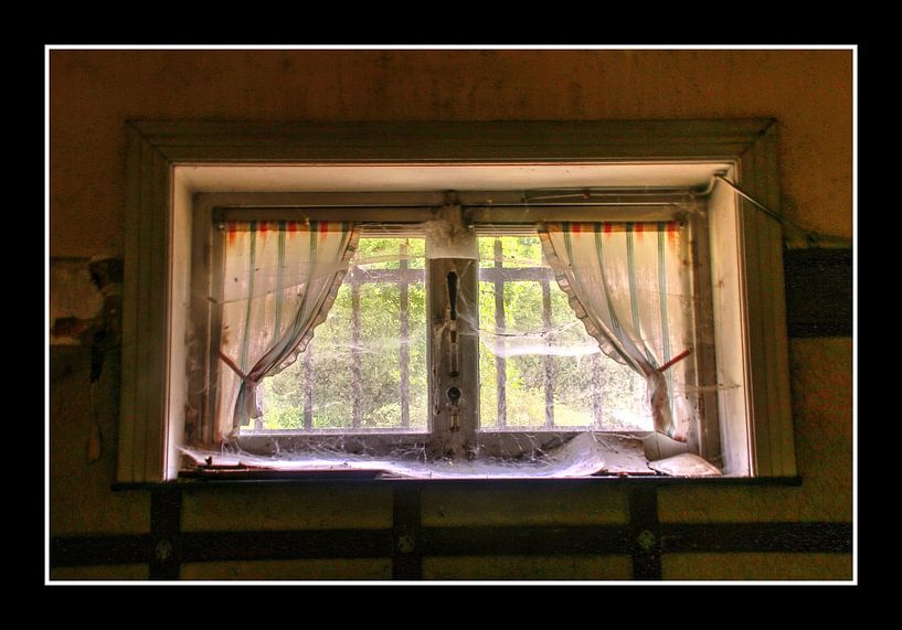 WINDOW by Paul Schrandt