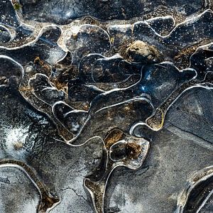 De l'eau gelée dans une flaque d'eau sur Anouschka Hendriks