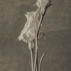 Bloemen in Sepia van Renee Klein