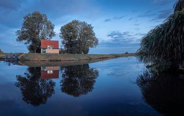 Ferry 'The Swamp Dragon' Bossche Broek by Zwoele Plaatjes