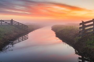 Mistige zonsopkomst in natuurgebied Kruiszwin in Anna Paulowna (4) van Bram Lubbers