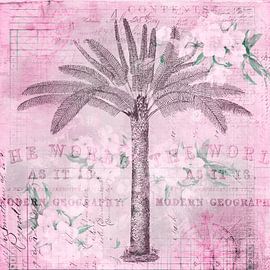 Palmier nostalgique sur Andrea Haase