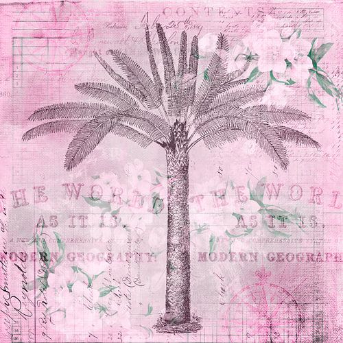 Nostalgische palmboom