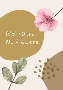 Pas de pluie. Pas de fleurs. sur Studio Allee