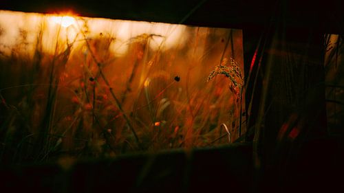 Rahmen der Sonne von IlseKoole