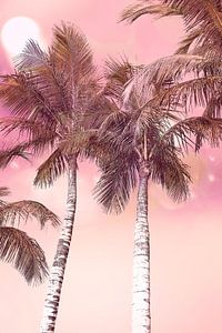 Palmen. Vintage-Stil. Rosa.