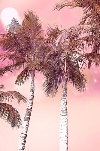 Palmen. Vintage stijl. Roze.