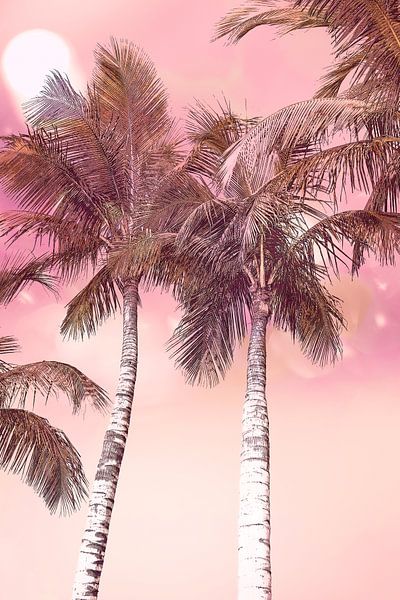 Palms. Vintage style. Pink. by Alie Ekkelenkamp