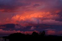 Rosa Himmel in Botswana