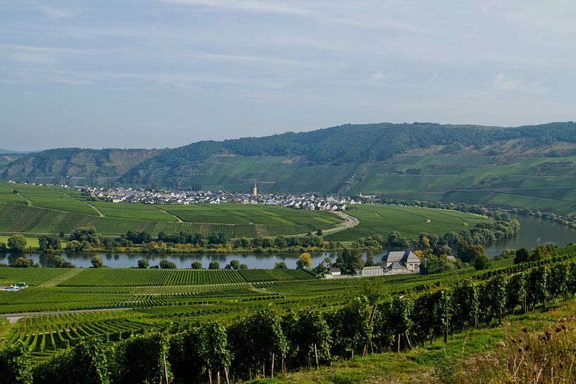 Groene schoonheid. Wijngaarden in de Moesel Duitsland landschap in de bergen van noeky1980 photography