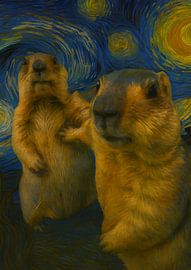 Himalayan guinea pig X Starry night by Smitty werben