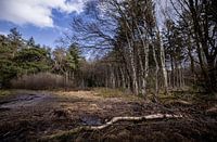 Roden Landgoed Mensinge