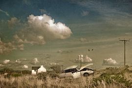 On a hot afternoon,,, by Harry van Rhoon