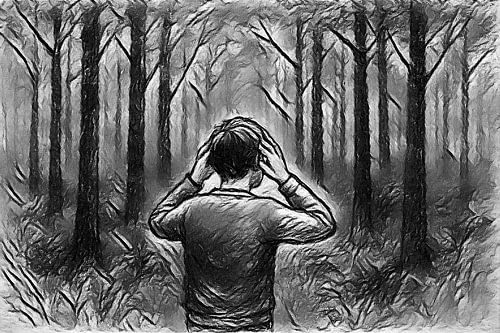 Den Wald vor lauter Bäumen nicht sehen. ( Sprichwort / Sprichwort ) von Jose Lok