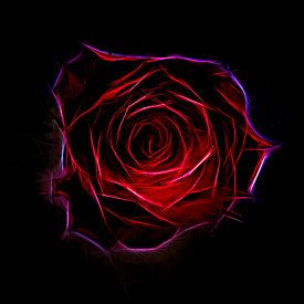 Red red rose. von Rens Kromhout