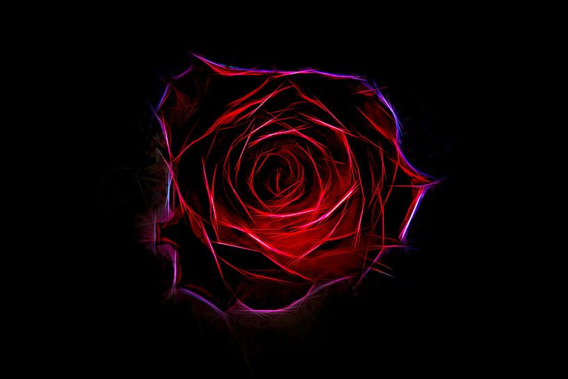 Red red rose. van Rens Kromhout
