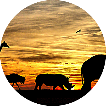 Save our world van Kvinne Fotografie