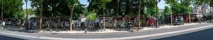 Zwischen Buchdeckeln und Boulevard
