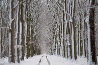 Winterlandschap met bomen van Tineke Visscher thumbnail