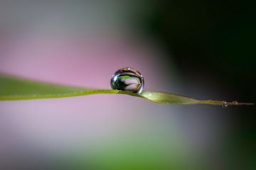 Goutte d'eau van Laurent Jack