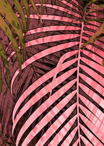 TROPICAL POPPY-PINK LEAVES-4