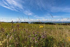 Groß Zicker, Blick zum Klein Zicker, den Zicker See und die Ostsee, Rügen