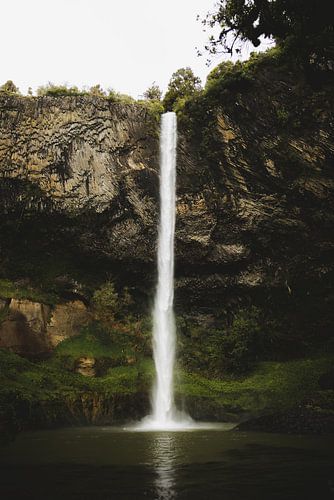 Raglan: Surfparadijs en Creatieve Vibe