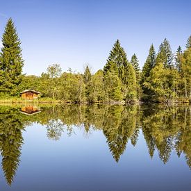 Moorweiher Panorama van Walter G. Allgöwer