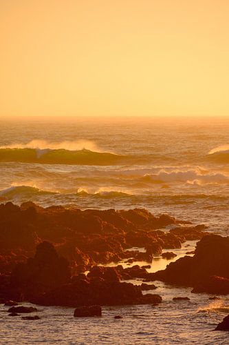 Califirnia dreaming sur Chasing Light