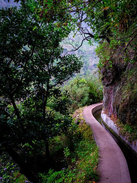 Levada von Eddy Westdijk