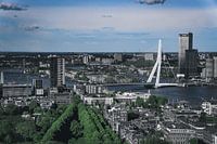 skyline of rotterdam in green and white