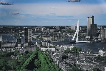 Skyline Rotterdam in groen en wit van vedar cvetanovic