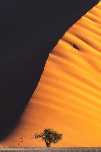 Namibië Duin 45 Sossusvlei