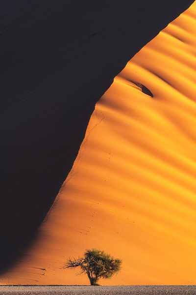 Namibia Dune 45 Sossusvlei by Jean Claude Castor