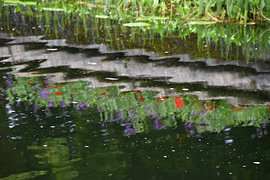 Reflets dans le Noorderplantsoen sur Erik Buitenhuis