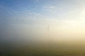 Dans la brume, ils apparaissent... sur Twan Van Keulen