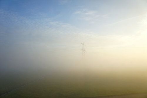 In the mist they appear...