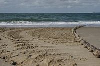 Getekend - Naar het strand