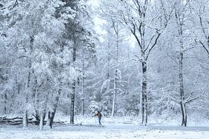 Langläufer zwischen schneebedeckten Bäumen