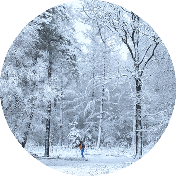 Langlaufer tussen de sneeuwbedekte bomen