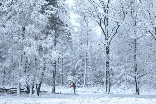 Cross-country skier among the snow-covered trees by Moetwil en van Dijk - Fotografie