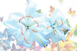 Le joyeux trac des papillons
