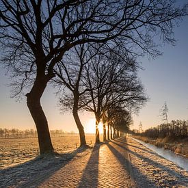 Koude opmaat van het voorjaar.  by Jaco Hoeve