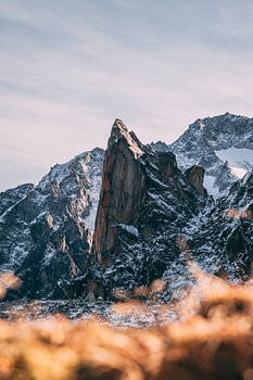 The needle