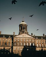 City of Freedom