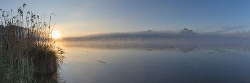 De Hopfensee in mei - een panorama van rust